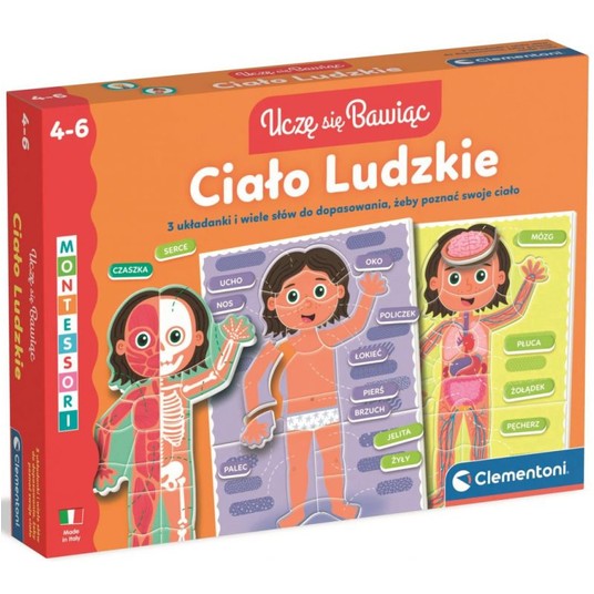 CIAŁO LUDZKIE CLEMENTONI -zdjęcie numer 1