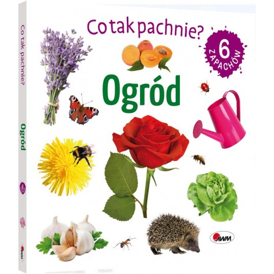 CO TAK PACHNIE? OGRODY - MOREX -zdjęcie numer 1