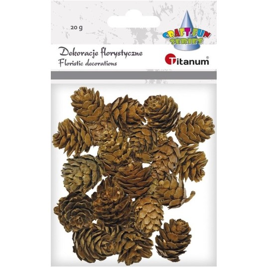 DEKORACJE FLORYSTYCZNE SZYSZKI -zdjęcie numer 1