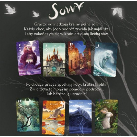 GRA SOWY -zdjęcie numer 2
