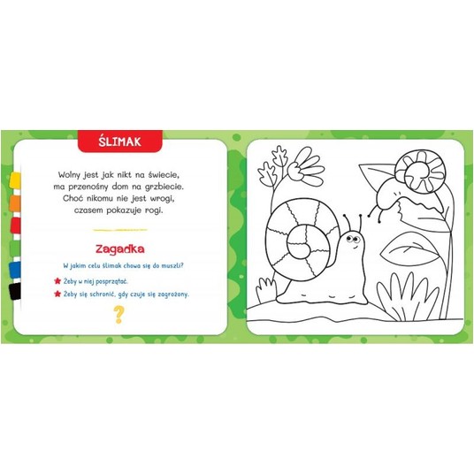 KOLORUJĘ I POZNAJĘ W PARKU -zdjęcie numer 2