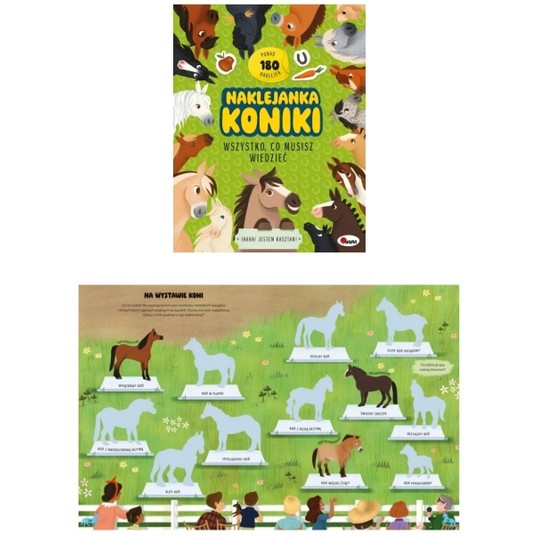 NAKLEJANKA KONIKI - MOREX -zdjęcie numer 1