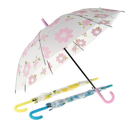 PARASOL -zdjęcie numer 1