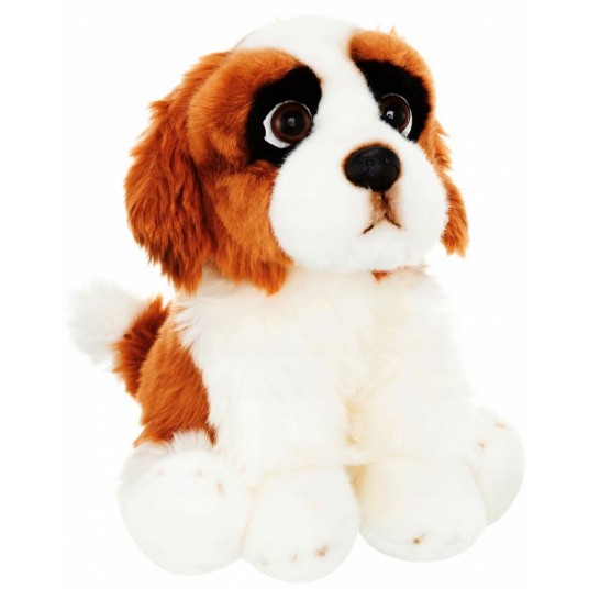 PIES BERNARDYN 30CM -zdjęcie numer 1