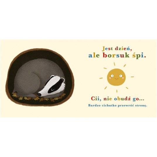 ROK W LESIE. BORSUK -zdjęcie numer 3