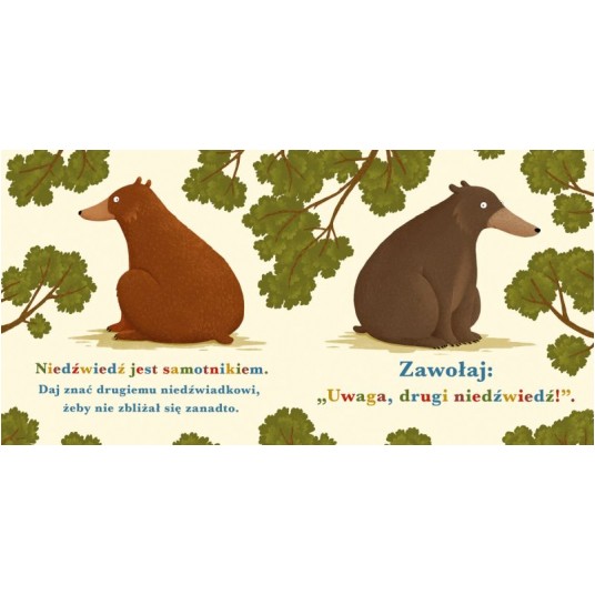ROK W LESIE. NIEDŹWIEDŹ -zdjęcie numer 3