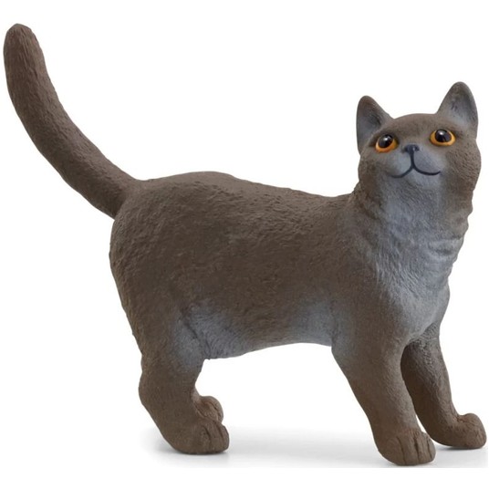 SCHLEICH KOT BRYTYJSKI KROTKOWŁOSY -zdjęcie numer 1