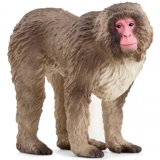 SCHLEICH MAKAK JAPOŃSKI WILD LIFE -zdjęcie numer 1