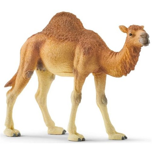 SCHLEICH WIELBŁĄD DROMADER -zdjęcie numer 1