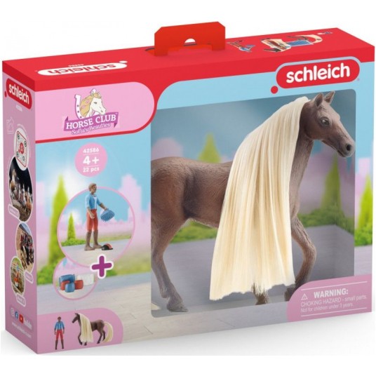 SCHLEICH ZESTAW STARTOWY LEO I ROCKY -zdjęcie numer 1