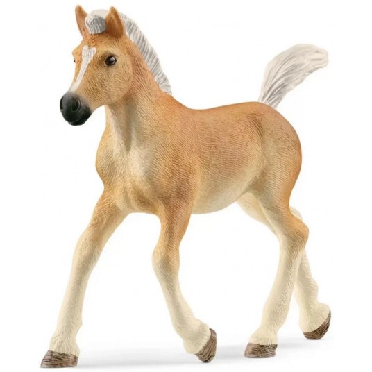 SCHLEICH ŹREBAK RASY HAFLINGER -zdjęcie numer 1