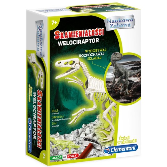 SKAMIENIAŁOŚCI WELOCIRAPTOR CLEMENTONI -zdjęcie numer 1