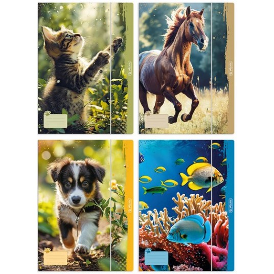 TECZKA Z GUMKĄ A4 ANIMALS HERLITZ -zdjęcie numer 1