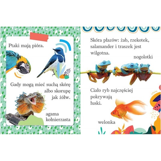 WYRAZY I ZDANIA DO NAUKI CZYTANIA -zdjęcie numer 2