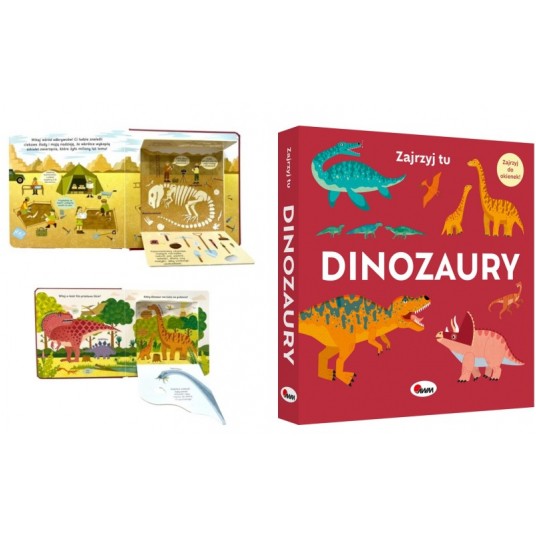 ZAJRZYJ TU DINOZAURY - MOREX -zdjęcie numer 1