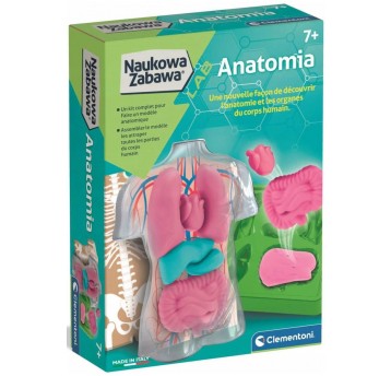 ANATOMIA - CLEMENTONI