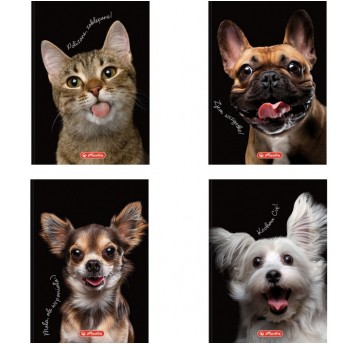 BRULION A6 80 KRATA CRAZY ANIMALS HERLITZ