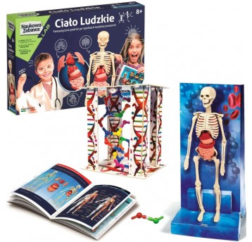 CIAŁO LUDZKIE - CLEMENTONI
