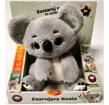 CZARUJĄCY KOALA - DUMEL