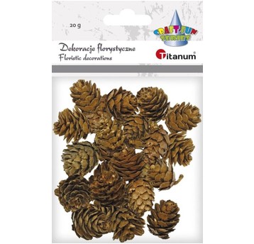 DEKORACJE FLORYSTYCZNE SZYSZKI