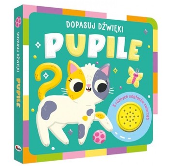 DOPASUJ DŹWIĘKI PUPILE- MOREX