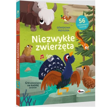 DŹWIĘKOWA PRZYGODA NIEZWYKŁE ZWIERZĘTA MOREX