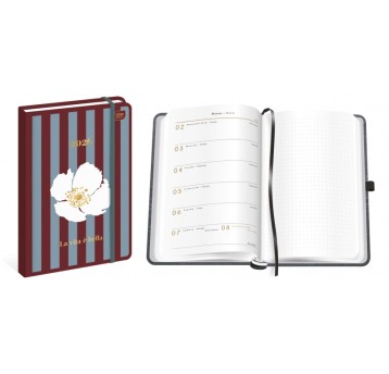 KALENDARZ KSIĄŻKOWY A5 192K METALLIC TUTTO