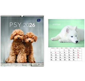 KALENDARZ ŚCIENNY 33,5X40CM PSY