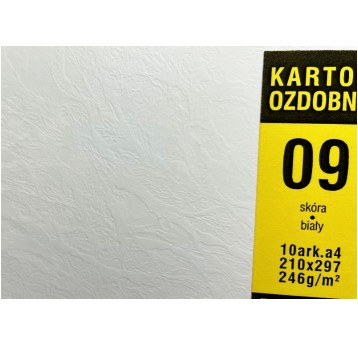 KARTON OZDOBNY A4 09 SKÓRA BIAŁY