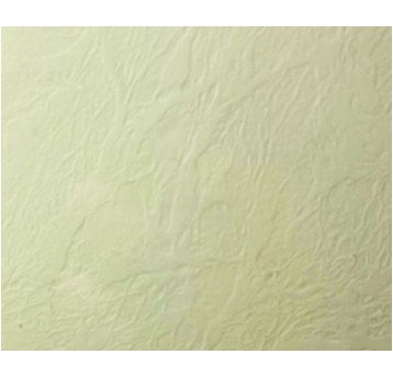 KARTON OZDOBNY A4 10 SKÓRA KREMOWY