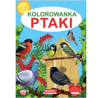 KOLOROWANKA PTAKI MARTEL
