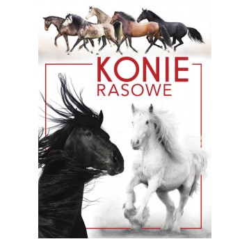 KONIE RASOWE