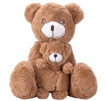 MASKOTKA PLUSZOWA MIŚ 30 CM Z NIEDŹWIADKIEM