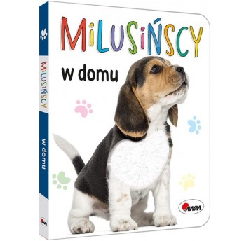 MILUSIŃSCY W DOMU - MOREX