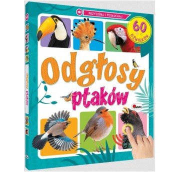 ODGŁOSY PTAKÓW 60 DŹWIĘKÓW MOREX