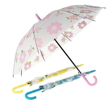 PARASOL