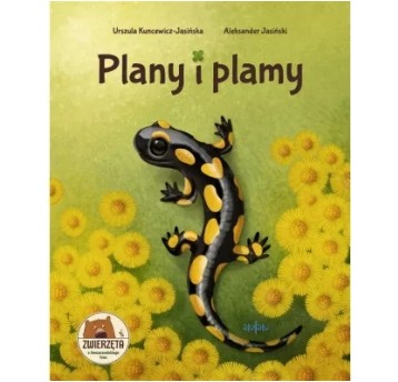 PLANY I PLAMY. KSIĄŻKA