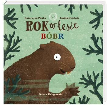 ROK W LESIE. BÓBR