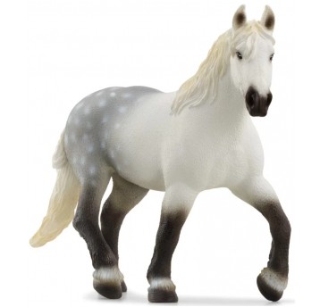 SCHLEICH KLACZ RASY PERSZERON