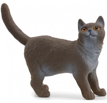 SCHLEICH KOT BRYTYJSKI KROTKOWŁOSY