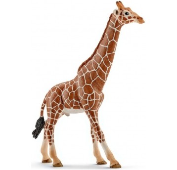 SCHLEICH SAMIEC ŻYRAFY