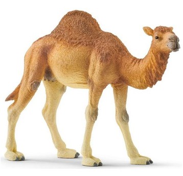 SCHLEICH WIELBŁĄD DROMADER