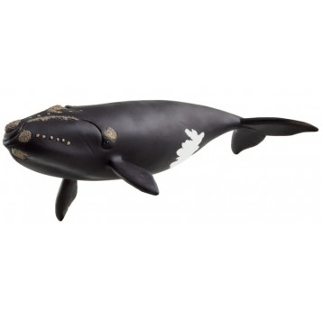 SCHLEICH WILD LIFE WIELORYB BISKAJSKI