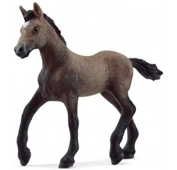 SCHLEICH ŹREBAK RASY PASO PERUANO