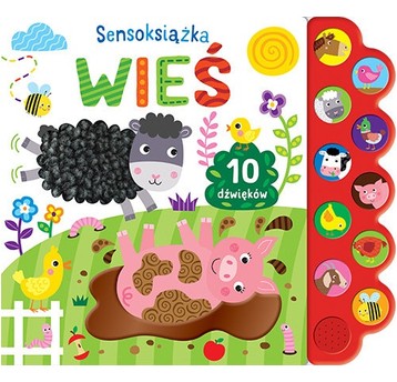 SENSOKSIĄŻKA WIEŚ - MOREX
