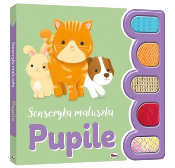 SENSORYKA MALUSZKA PUPILE - MOREX
