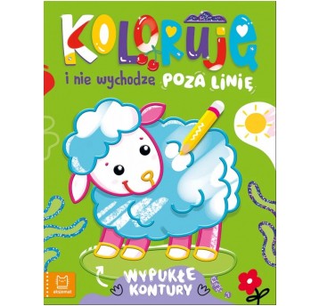 WYPUKŁE KONTURY Z OWIECZKĄ