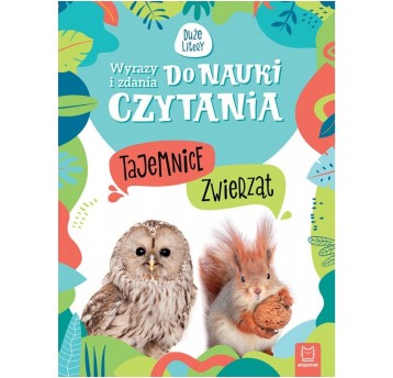WYRAZY I ZDANIA DO NAUKI CZYTANIA