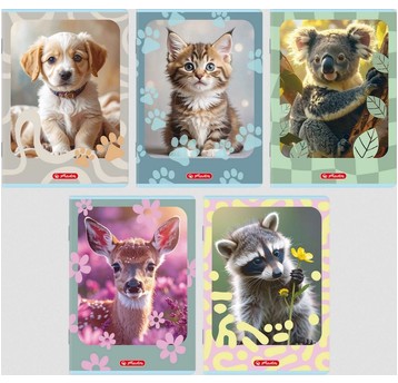 ZESZYT A5 16 3-LINIA KOLOROWA ANIMALS HERLITZ