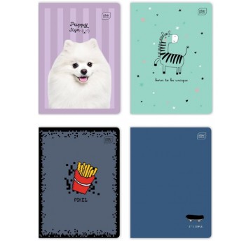 ZESZYT A5 16 KRATA KOLOROWA INTERDRUK